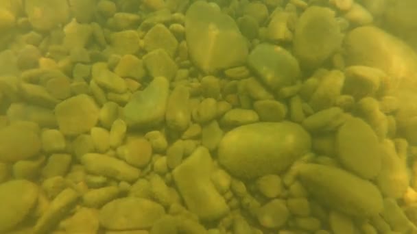 Стрельба Горной Реке Водой Подводный Мир Реке — стоковое видео