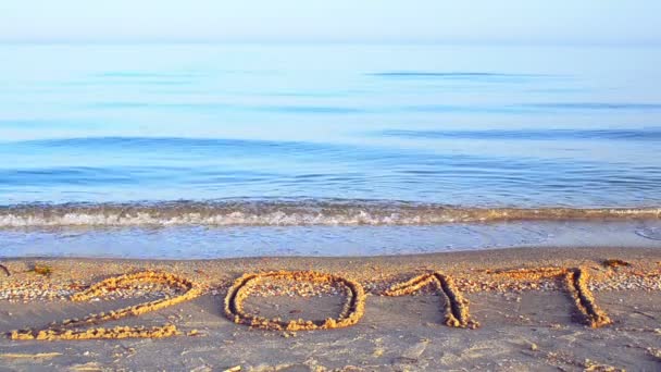 2017 Formie Napisu Piasku Plaży Napis Piasku Plaża — Wideo stockowe