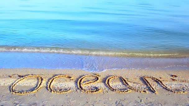 Napis Ocean Plaży Piasku Napis Piasku Plaża — Wideo stockowe