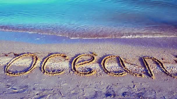 砂の上のビーチで海を記述します 砂の上の碑文 ビーチ — ストック動画