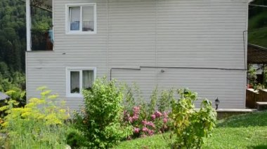 Güller ve ev. Yazın çekim..