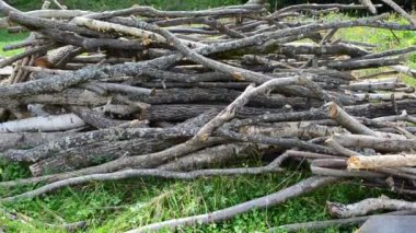 Yakacak odun topluyorum. Bahçede yakacak odun