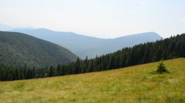 Muhteşem dağ manzarası. Dağ tepesi, ahşap