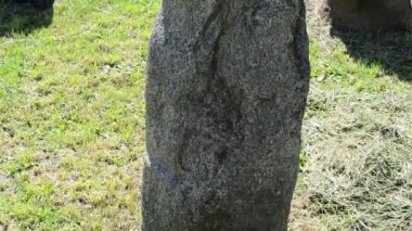 Polovtsian taş heykelleri. Ukrayna. 9-13. yüzyılda yapılmış. Heykeller gri kumtaşından yapılmıştır..