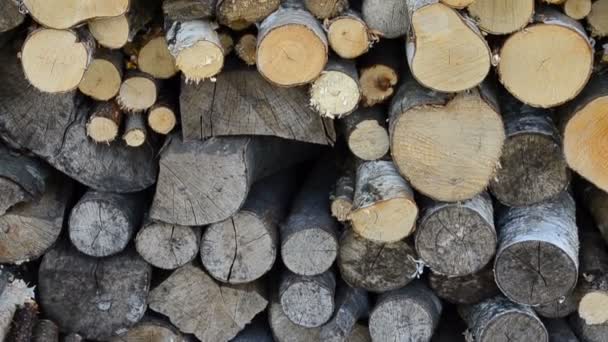 Firewood Pátio Tiro Lenha — Vídeo de Stock