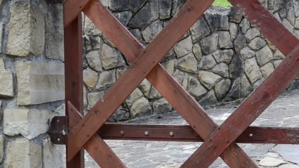 石の道と門 木造門 — ストック動画