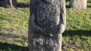 Polovtsian taş heykelleri. Ukrayna. 9-13. yüzyılda yapılmış. Heykeller gri kumtaşından yapılmıştır..