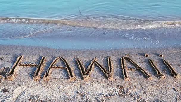 Güzel Plajda Yapılmış Hawaii Yazısı Kumsalda Kumsalda — Stok video