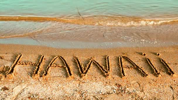 Güzel Plajda Yapılmış Hawaii Yazısı Kumsalda Kumsalda — Stok video