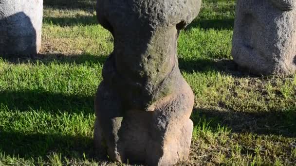 Estátuas Pedra Polovtsianas Ucrânia São Feitas Nos Séculos Esculturas São — Vídeo de Stock