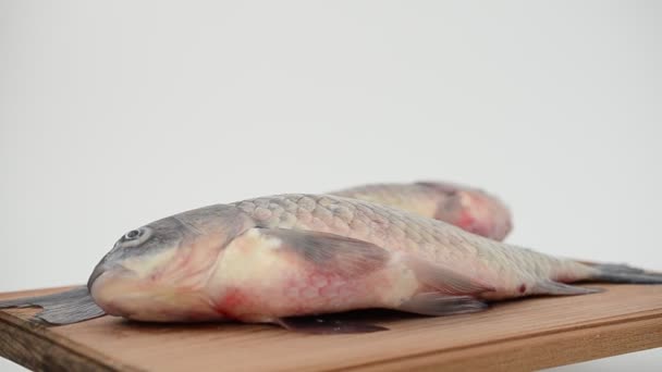 Crociati Tagliere Pesce Fresco — Video Stock