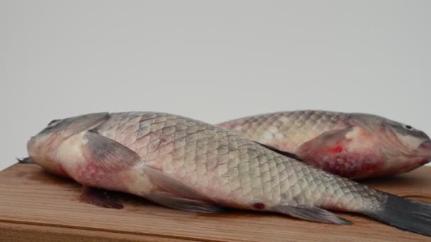 Crucians Desce Krojenia Świeże Ryby — Wideo stockowe