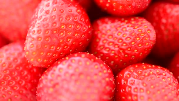 草莓的芽 运动中的射击 — 图库视频影像