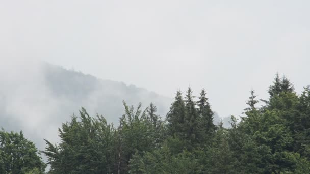 Stoom Bergen Stoom Een Regen — Stockvideo