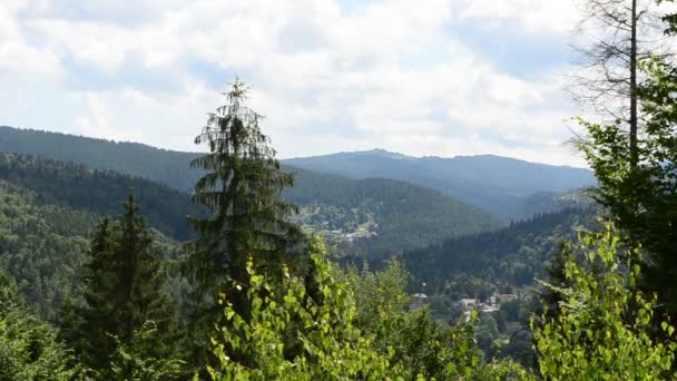 Berge Sommer Bäume Und Berge — Stockvideo