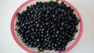Yaban mersini çekimi. Yaban mersini.
