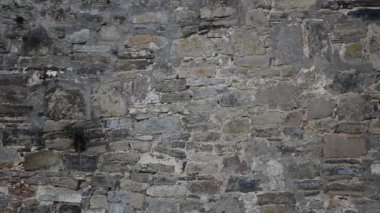 Ukrayna kalesi, antik. Batı Ukrayna 'daki Khotyn kasabasındaki ortaçağ kalesi.