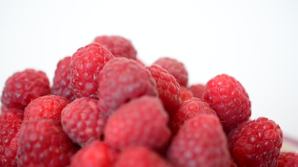 Schießen Auf Himbeeren Sommerbeeren — Stockvideo