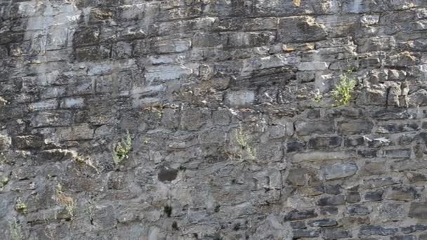 Erschießung Einer Mauer Der Festung Festung Kamenetz Podolsk Ukraine — Stockvideo