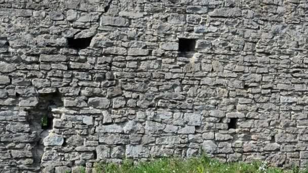 Middeleeuwse Constructies Overgebleven Fortificatie Oude Kasteel Het Dorp Scala Podolsk — Stockvideo