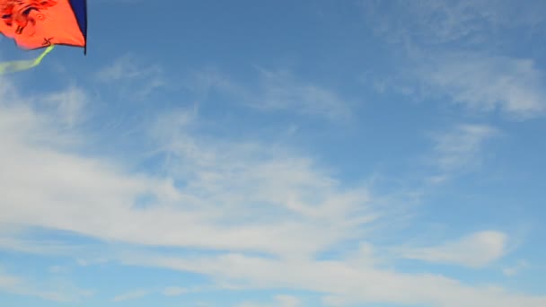 Cerf Volant Dans Ciel Heure Été Plage Sea Shore — Video