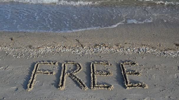 免费登记在沙滩上 沙上的征文 — 图库视频影像
