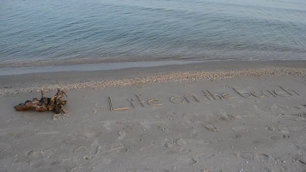 Inscrição Areia Praia Vida Conceito Praia Inscrição Uma Areia Praia — Vídeo de Stock