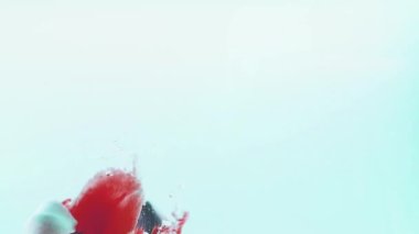 Lale yaprakları suya düşer. Geçmişi. Yavaş çekim.