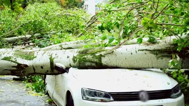 Araba Bir Kasırga Tarafından Tahrip Edildi Bahçedeki Bozuk Araba — Stok video