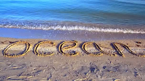 Iscrizione Oceano Sulla Spiaggia Sulla Sabbia Iscrizione Sulla Sabbia Spiaggia — Video Stock