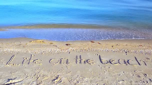 Vida Conceito Praia Inscrição Uma Areia Praia Com Onda Vinda — Vídeo de Stock