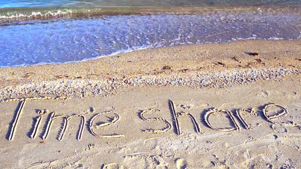 报名时间在沙滩上分享 海滩上的射击 — 图库视频影像