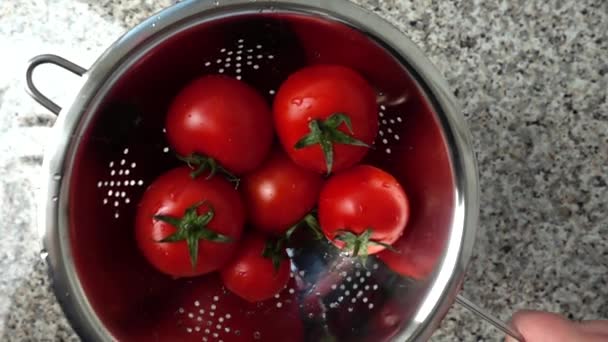 Tomaten Een Vergiet Gooien Drogen Van Tomaten Uit Water Langzame — Stockvideo
