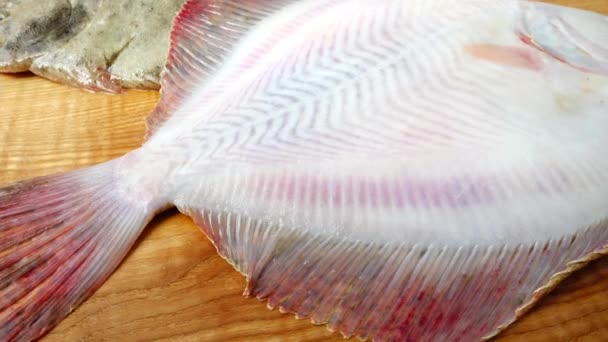 Fish Flatfish Cutting Board — Stock Video