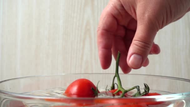 Der Koch Holt Tomaten Aus Einer Schüssel Mit Wasser Zeitlupe — Stockvideo