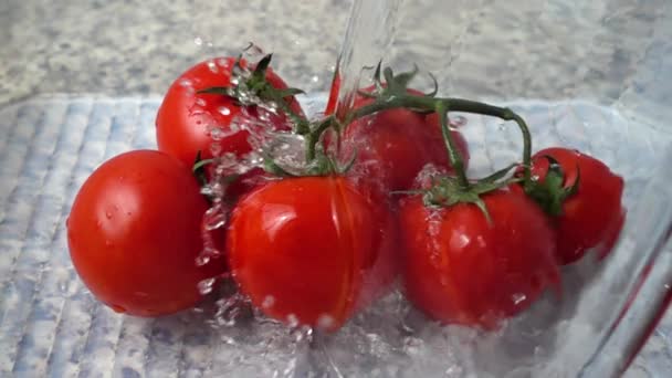 Tomaten Waschen Zeitlupe — Stockvideo