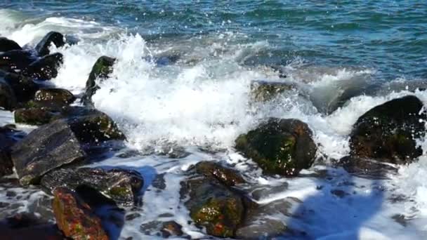 Las Olas Del Mar Rompen Contra Las Piedras Disparando Orilla — Vídeo de stock