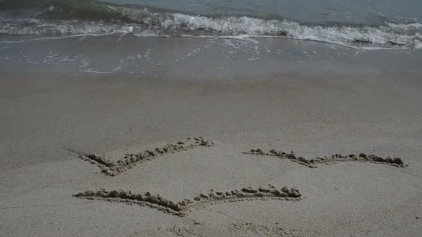 Tekening Van Meeuwen Zand Schieten Het Strand — Stockvideo