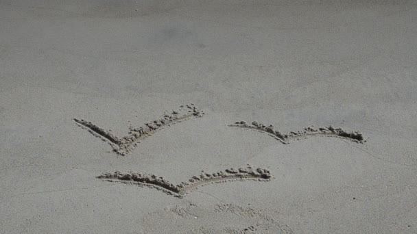 Tekening Van Meeuwen Zand Schieten Het Strand — Stockvideo