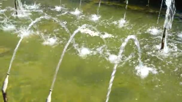 Fontana Córregos Dia Ensolarado Tiro Movimento — Vídeo de Stock