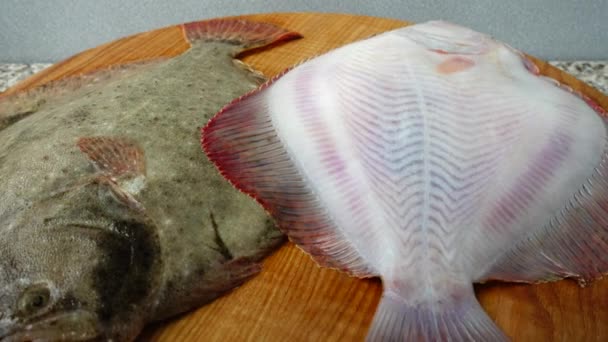 Риба Плоскої Риби Обробній Дошці Стрілянина Русі — стокове відео