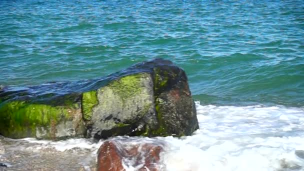 Las Olas Del Mar Rompen Contra Las Piedras Disparando Orilla — Vídeos de Stock