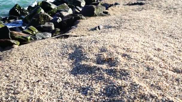 Les Vagues Mer Brisent Contre Les Pierres Tir Sur Bord — Video