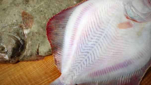 Рыба Плоской Рыбы Разделочной Доске — стоковое видео