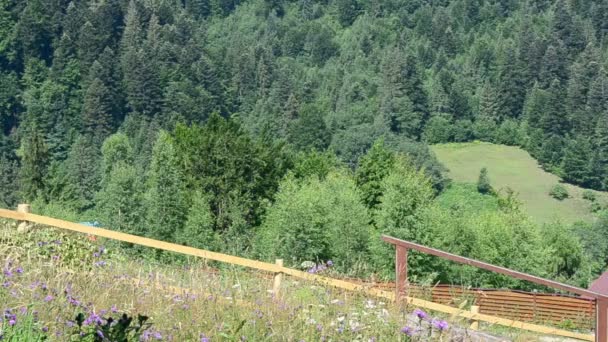 Geländer Und Berge Sommer Und Berge — Stockvideo