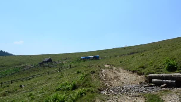 Pâturages Été Pâturages Montagne — Video