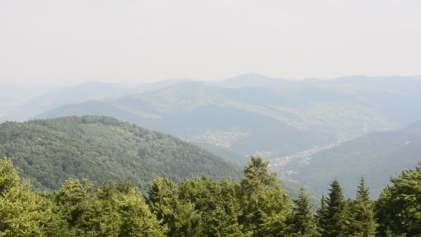 Górski Szczyt Drewno Wiatr Góry — Wideo stockowe