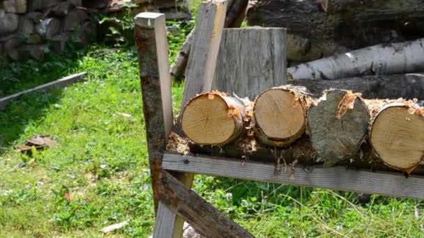 Schießen Auf Brennholz Brennholz Hof — Stockvideo