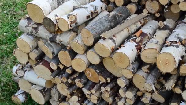 Firewood Pátio Tiro Lenha — Vídeo de Stock