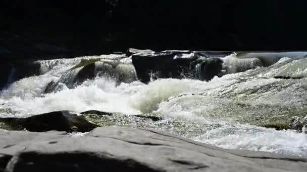 マウンテン川だ 山の川と石 — ストック動画